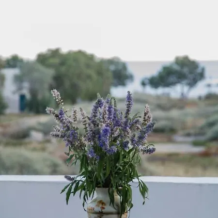 Ξενοδοχείο με διαμερίσματα Maria Ίος