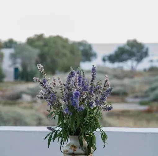 Lejlighedshotel Maria Chora